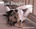 Book Just Beagles
