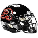 Blaze Schutt AFL Mini Helmet