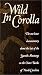 Wild In Corolla (Wild horses of the Outer Banks) Image