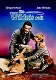 Die Wildnis ruft - Gregory Peck