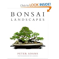 Bonsai Landscapes