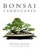Bonsai Landscapes