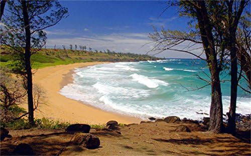 wwseven Beautiful Scenery DIY Handmade Diamond Painting Set Figure Resin Rhinestone Pasted for Home Decoration 14x24 Inch