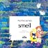 Smell (The Five Senses)