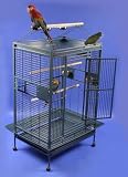 Giant Pyramid Cage with Playtop, 48 x 36