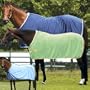 Weatherbeeta Microfleece Sheet