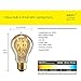 ANYQOO Edison Light Bulb Squirrel cage Filament Bulb Antique Lighting base (E26/E27) 40W