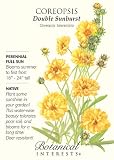 Amazon / Hirts: Seed; Coreopsis: Double Sunburst Coreopsis Seed - 800 mg