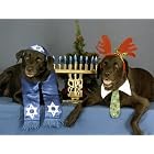 Pet Star Interfaith Cards - Labradors by  Pet Star Photography