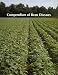 Book Compendium of Bean Diseases (Aps Disease Compendium Series)