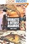 Uromastyx & Butterfly Agamids