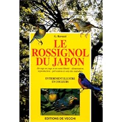 Le rossignol du Japon