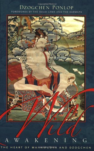 Produkt-Bild: Wild Awakening: The Heart of Mahamudra and Dzogchen