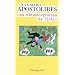 Tintin, Hergé