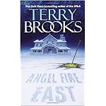 Angel Fire East (The Word and the Void Trilogy, Book 3) book cover