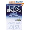 Angel Fire East (The Word and the Void Trilogy, Book 3)