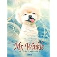 Mr. Winkle Wall Calendar 2011: The Nudes: Volume I