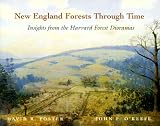 New England Forests Through Time : Insights from the Harvard Forest Dioramas