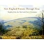 New England Forests Through Time : Insights from the Harvard Forest Dioramas