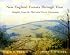 New England Forests Through Time : Insights from the Harvard Forest Dioramas