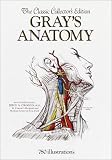 Gray's Anatomy