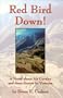 Red Bird Down : A Novel about Air Cavalry and Aero-Scouts in Vietnam