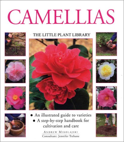 Camellias (Little Plant Library)