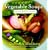 Vegetable Soups from Deborah Madison's Kitchen