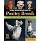 Best books & magazines about raising chickens