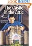 The Castle in the Attic