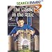The Castle in the Attic