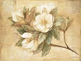Pimpernel Sugar Magnolia Placemats - Set of 4 (Large)