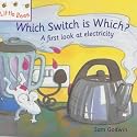 Which Switch is Which?: A First Look at Electricity (Little Bees)