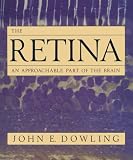 The Retina: An Approachable Part of the Brain (Belknap Press)