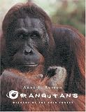 Borneo Dayak's-related products item: Orangutans: Wizards of the Rain Forest