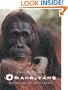 Orangutans: Wizards of the Rain Forest