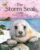 The Storm Seal