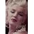 Legend: The Life and Death of Marilyn Monroe