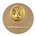 U.S. Air Force USAF Veteran Lapel Pin