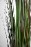 Tall Onion Grass Green & Brown 36