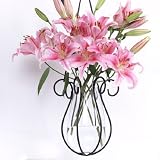 Hanging Basket & Glass Vase