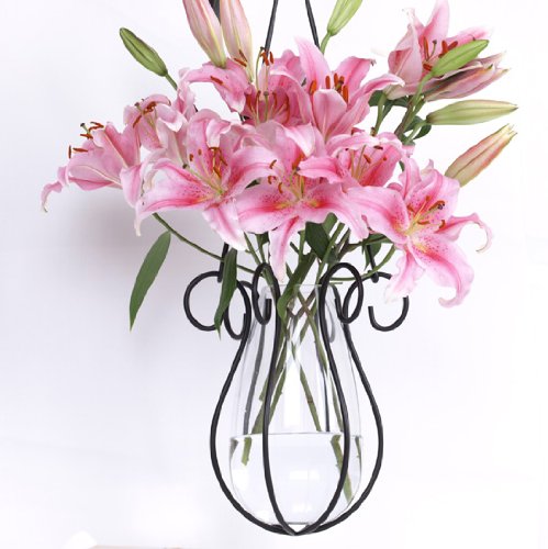 Hanging Basket & Glass Vase