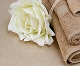 10 Pieces Set 100% Pure Cotton Gold Bath Washcloth Towel - Many Styles & Colors Available