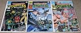 Review Archie Adventure Series Mirage Studios  / Eastman and Laird's Teenage Mutant Ninja Turtles Adventures Heroes in a Half Shell # 1, 2 and 3. (The Complete Three Part Limited Series!)