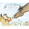 My 5-Year-Old Son's Favorite Books