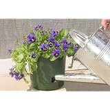 Self Watering Planter: 8 in - 2 pk (terracotta color) by Apollo