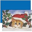 Christmas Kitten Christmas Cards