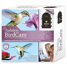 Wingscapes WSCA03 Audubon BirdCam by