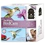 Wingscapes WSCA03 Audubon BirdCam