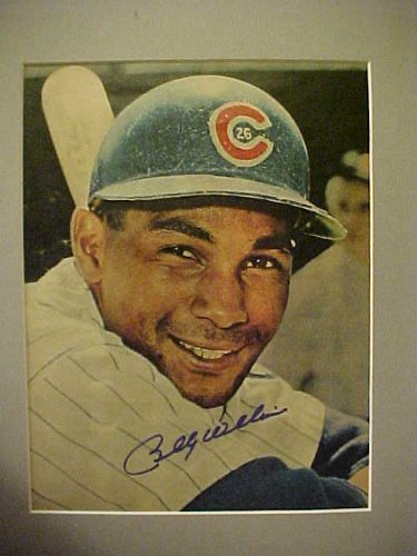 Billy Williams Chicago Cubs Autographed 11 X 14 Professionally Matted Color Photo With A Personally Obtained Autograph Directly From The Player